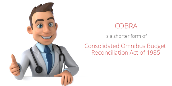 Consolidated Omnibus Budget Reconciliation Act (COBRA)